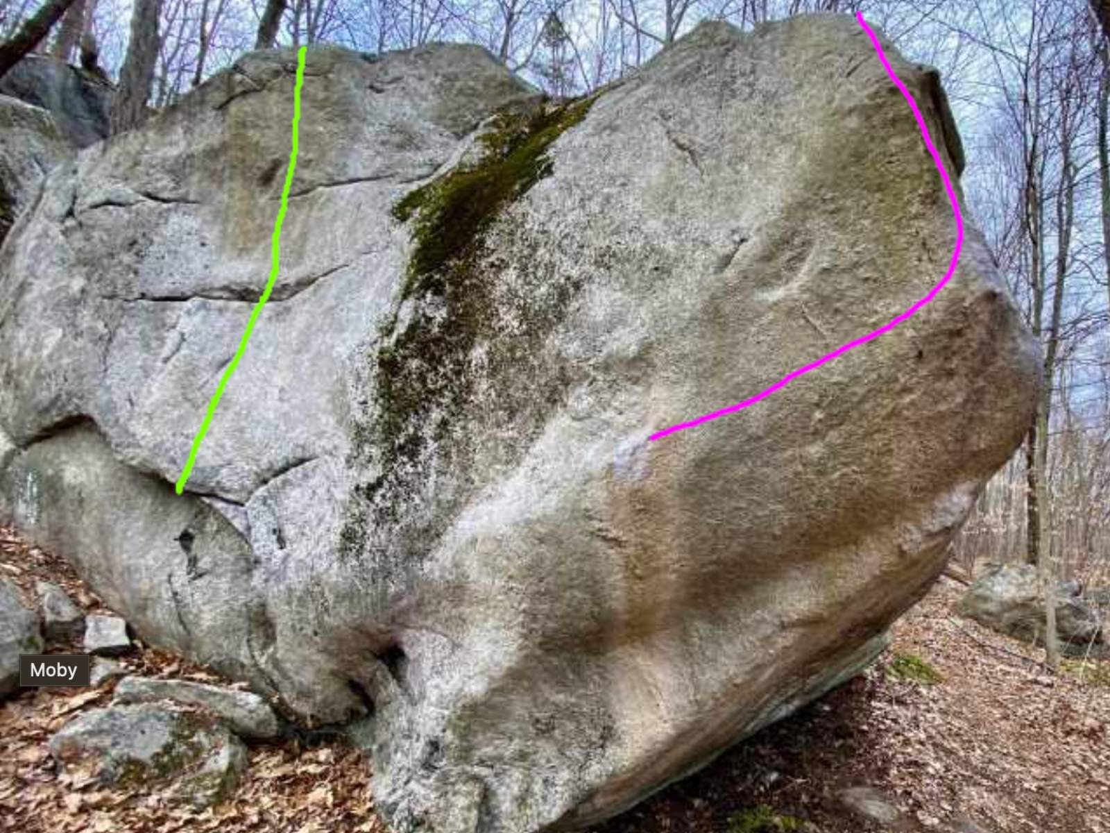 Ice Pond cover photo