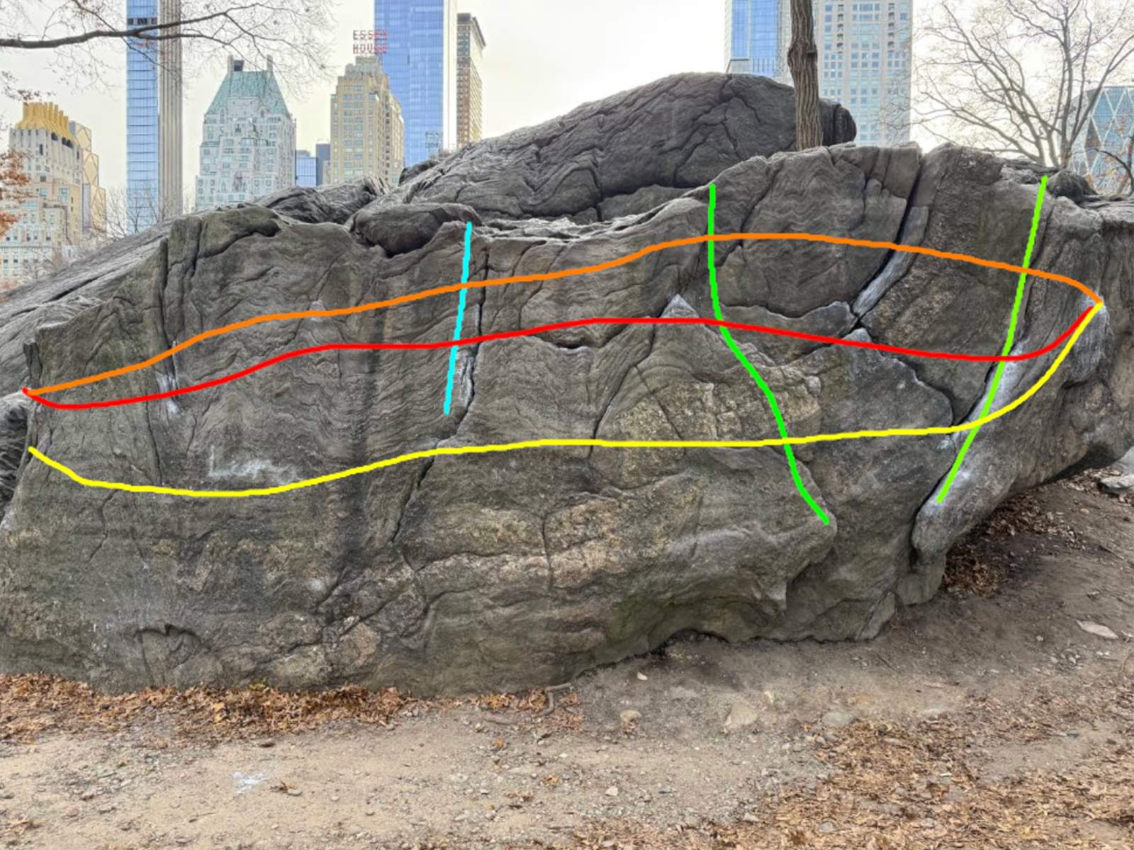 Central Park cover photo